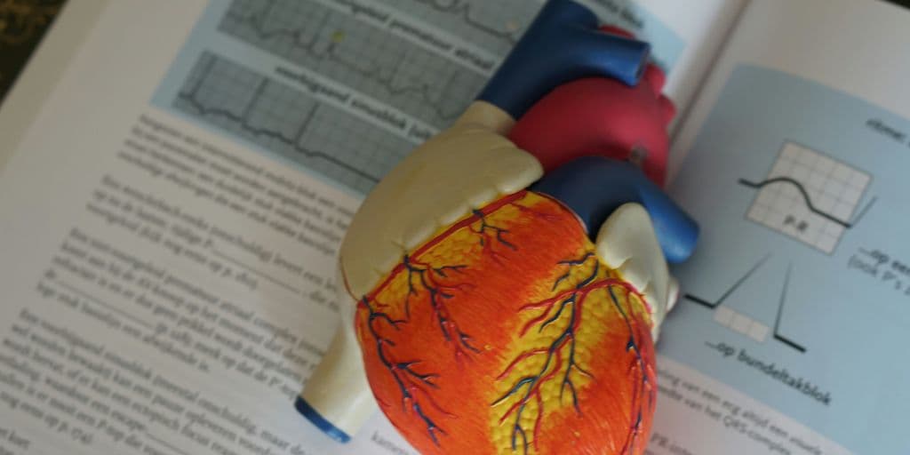 Vitamin B3 (Niacin) and Its Role in Cardiovascular Health