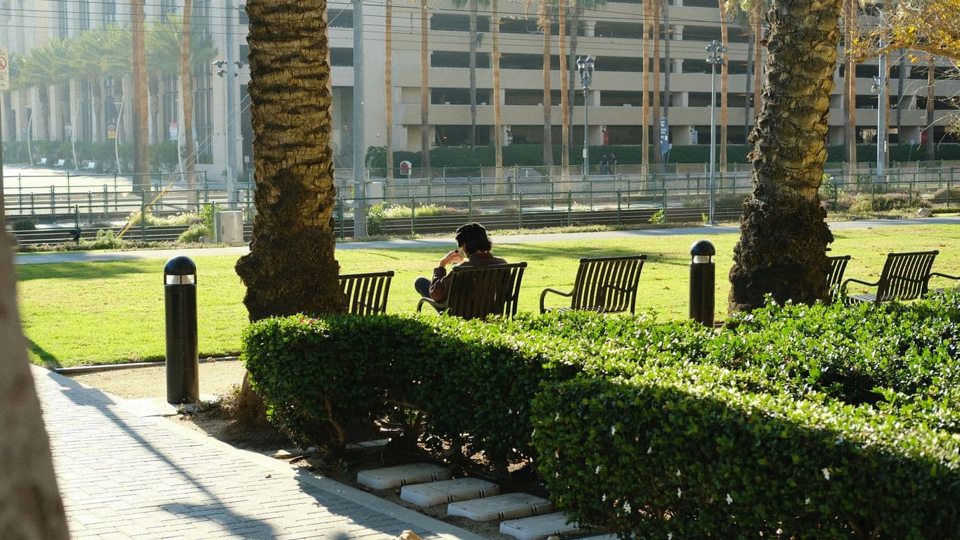 Why Getting Morning Sunlight Is Essential for Health