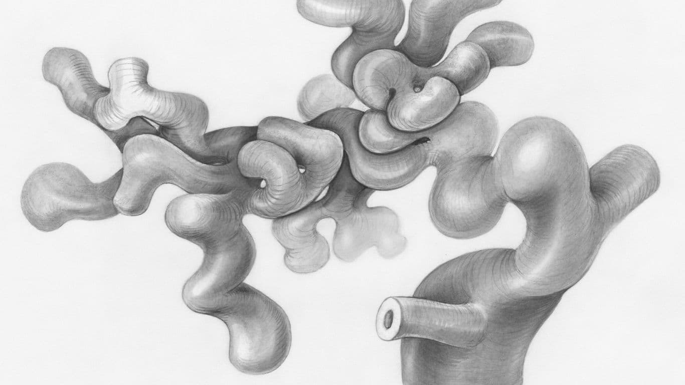 Serotonin Starts in the Gut: What You Need to Know