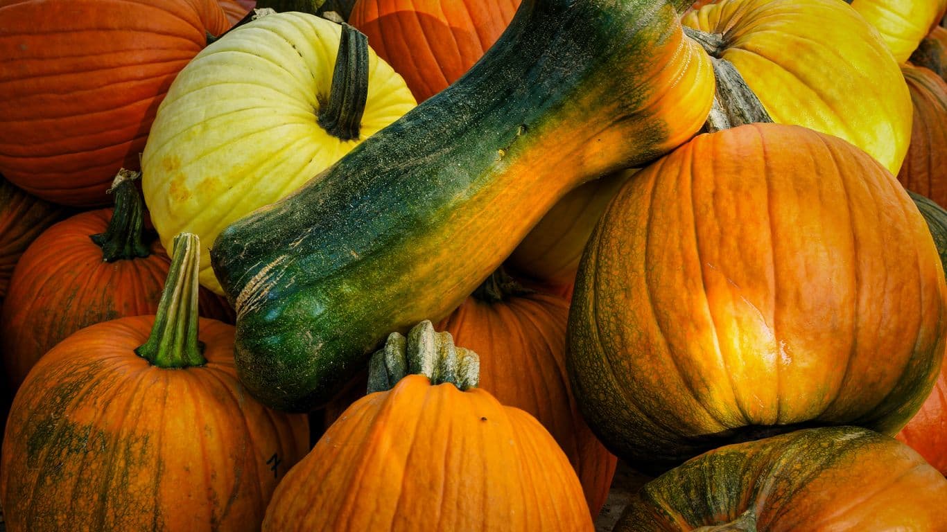 Top 15 Antioxidant-Rich Foods to Add to Your Diet