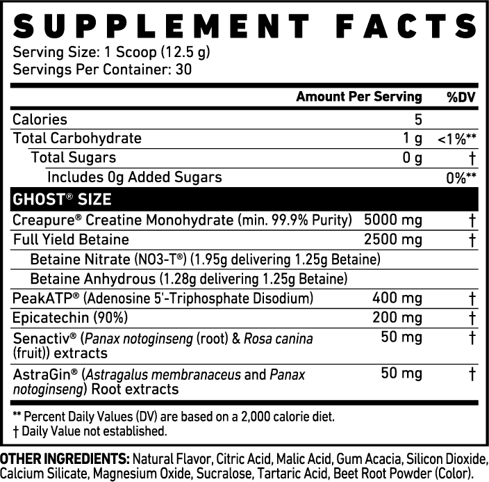 GHOST® SIZE V3