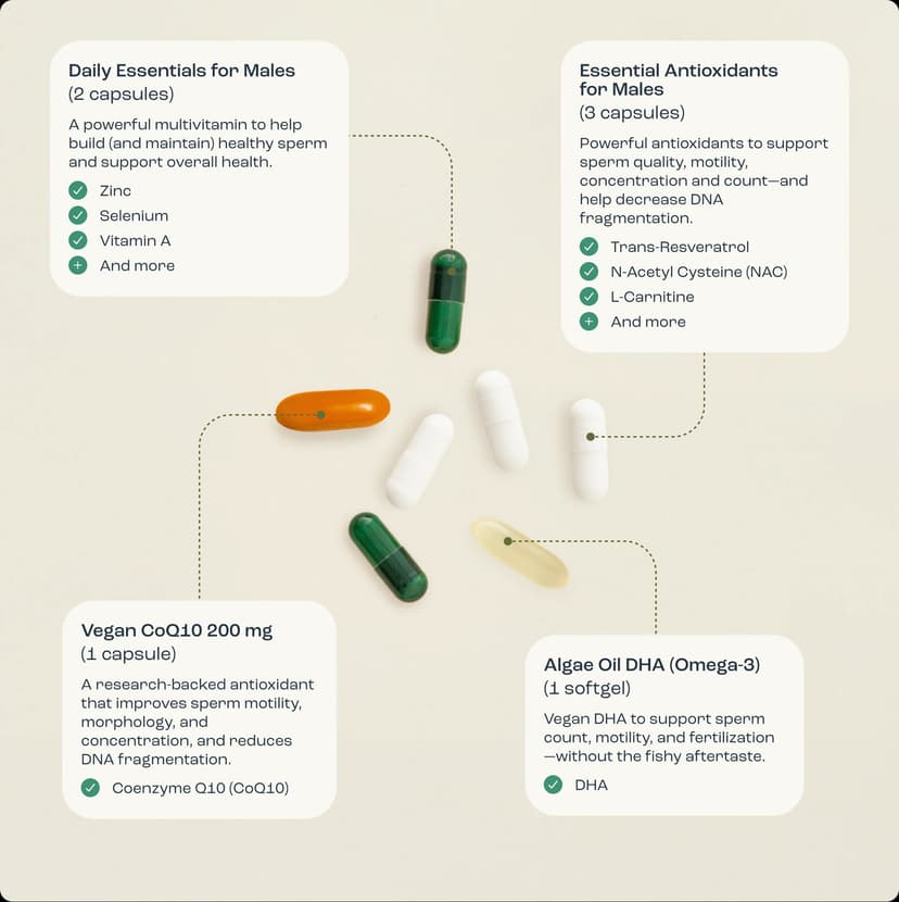 Male Fertility Power Pack