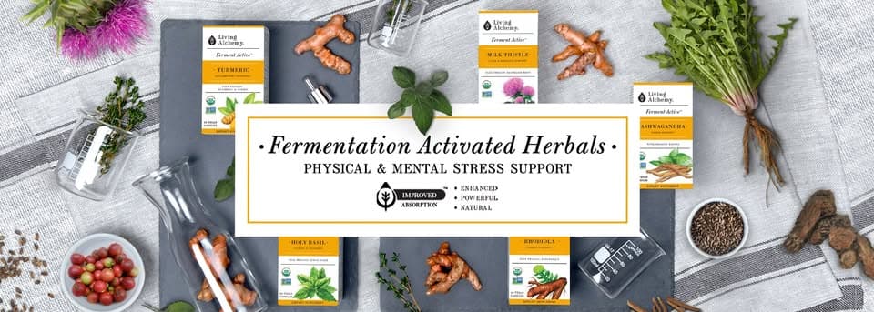 livingalchemy cover.jpg