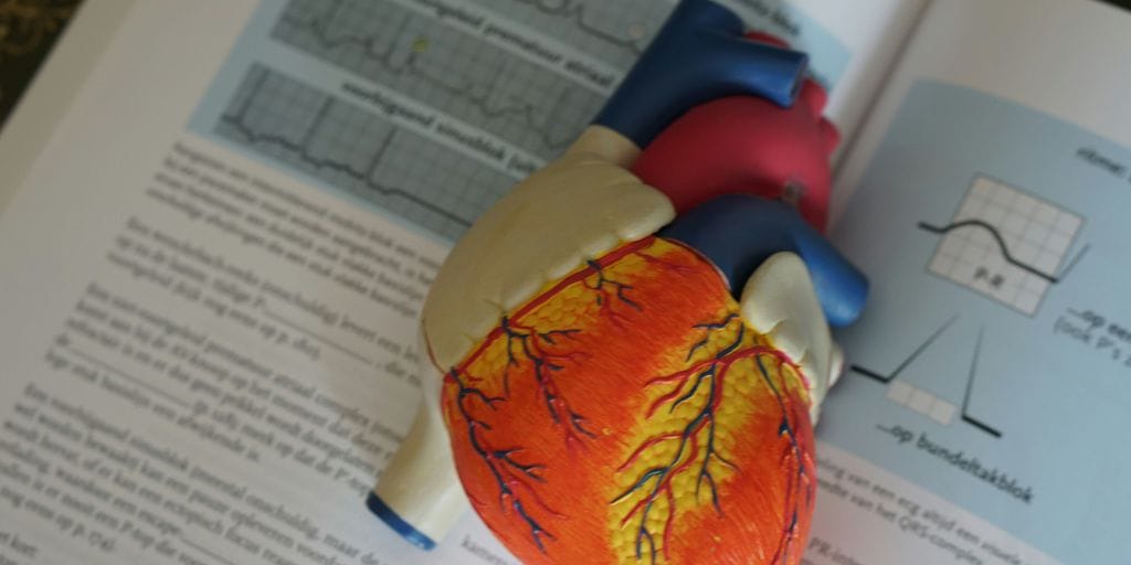 Vitamin B3 (Niacin) and Its Role in Cardiovascular Health