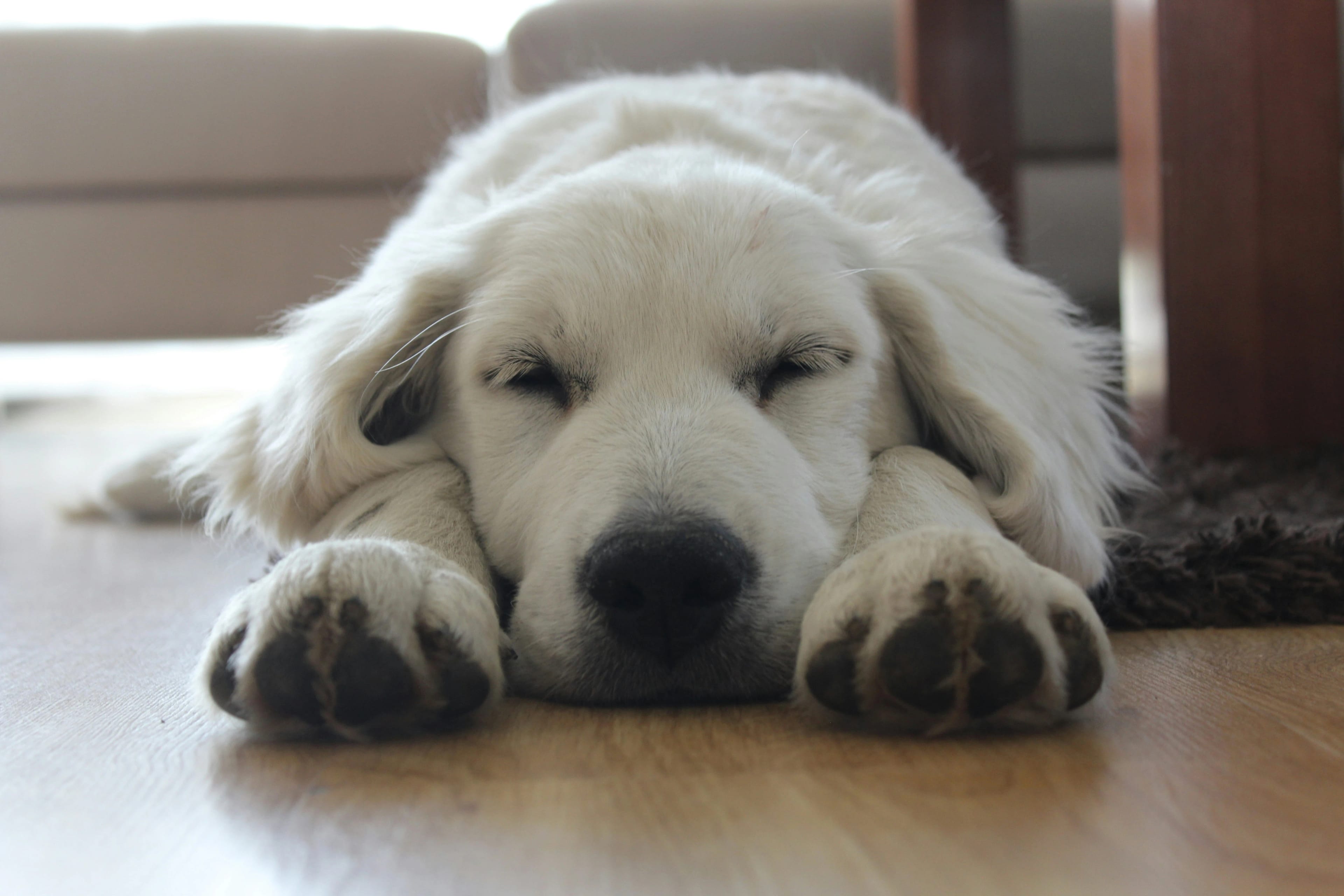 Sleep