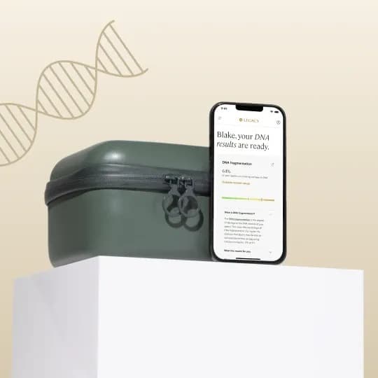 Advanced semen analysis