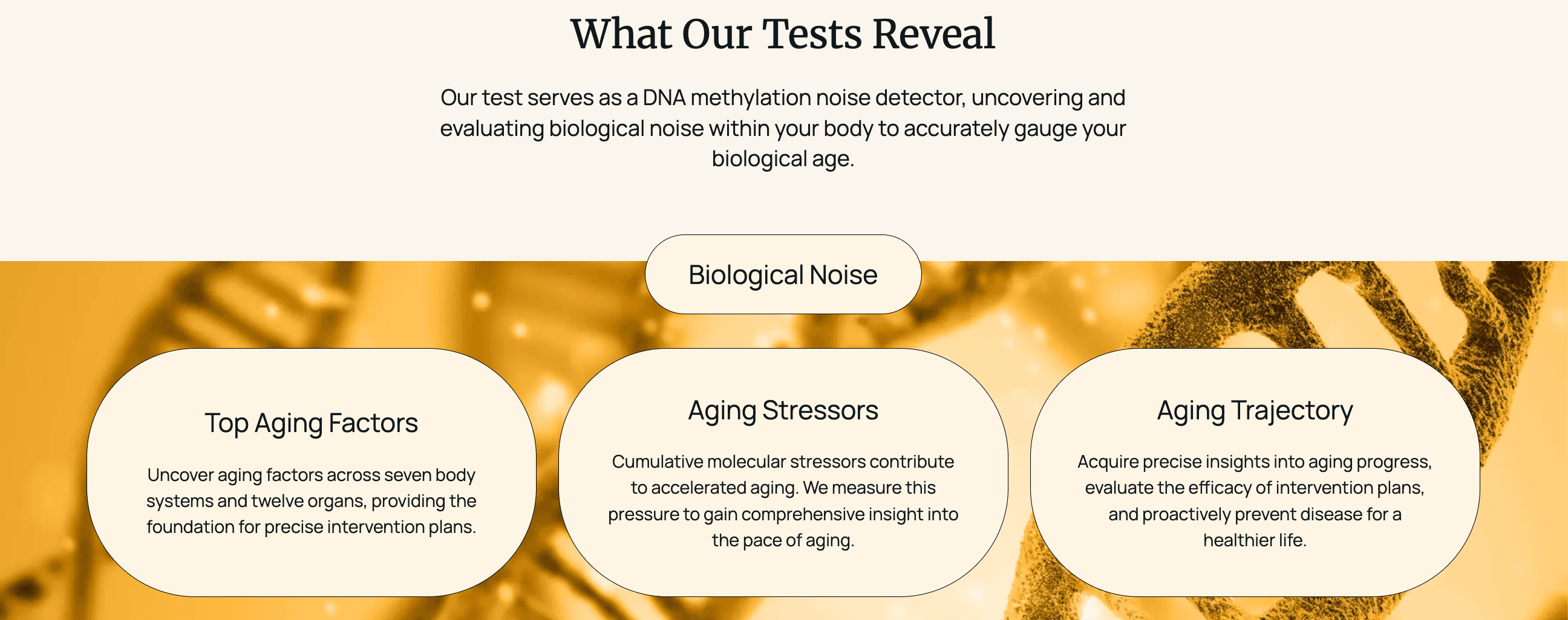 Screenshot 2025-07-08 at 11.17.16 AM.png