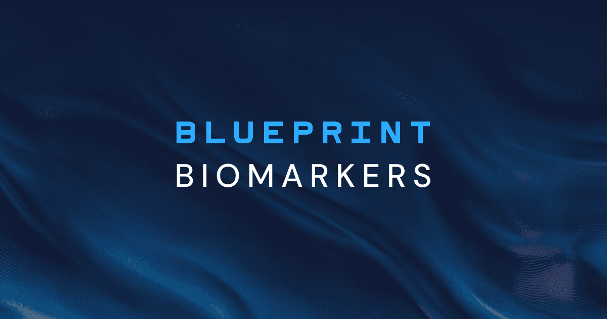 blueprint cover.png